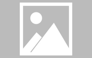 舞钢论文网站建设（网站建设的论文）